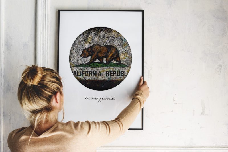 Printed Flag of California Republic