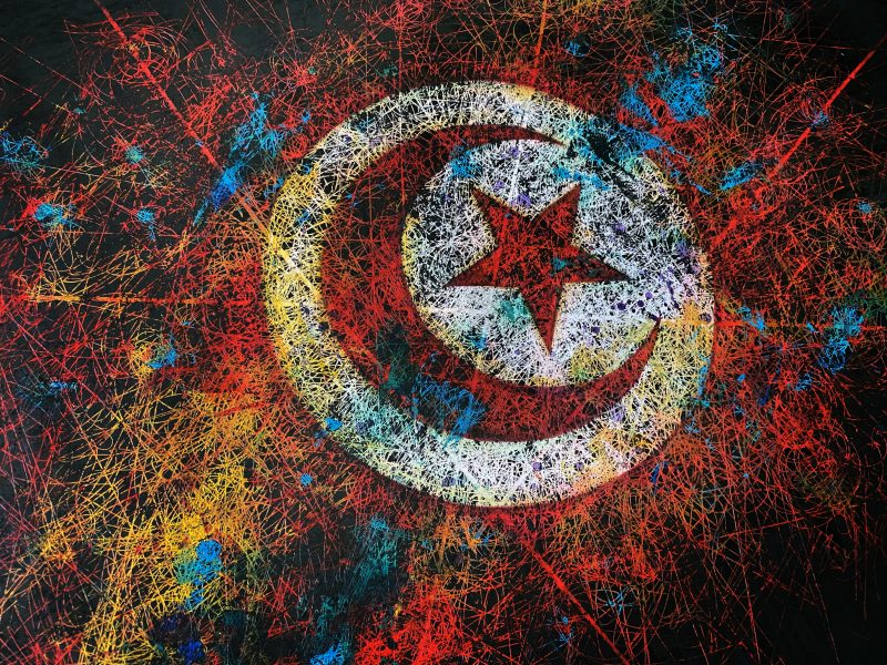 Fragment of Tunisia Flag Painting