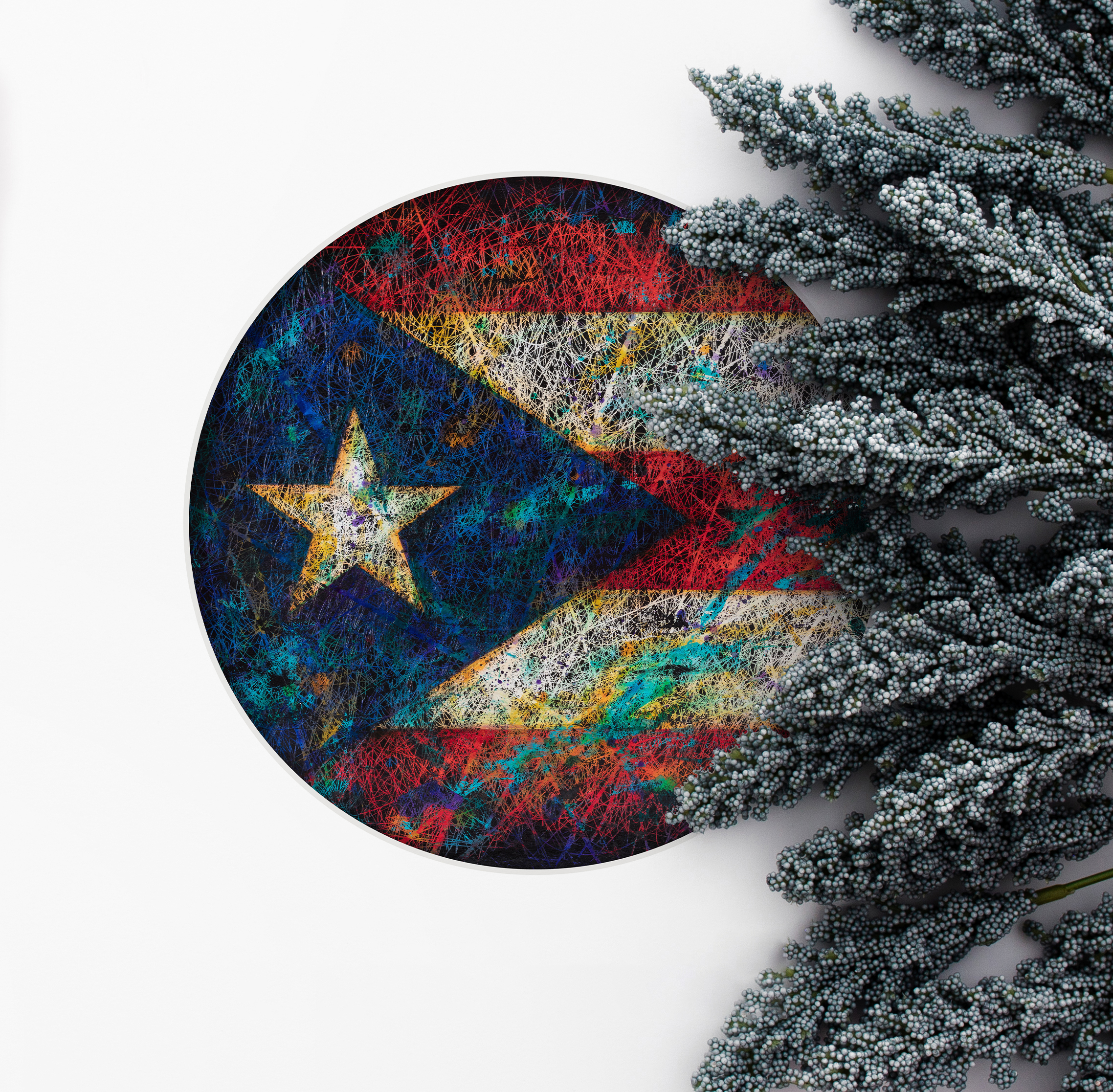 Composition made with wheat leaves and printed Flag of Puerto Rico on white background Composition made with wheat leaves and printed Flag of Puerto Rico on white background